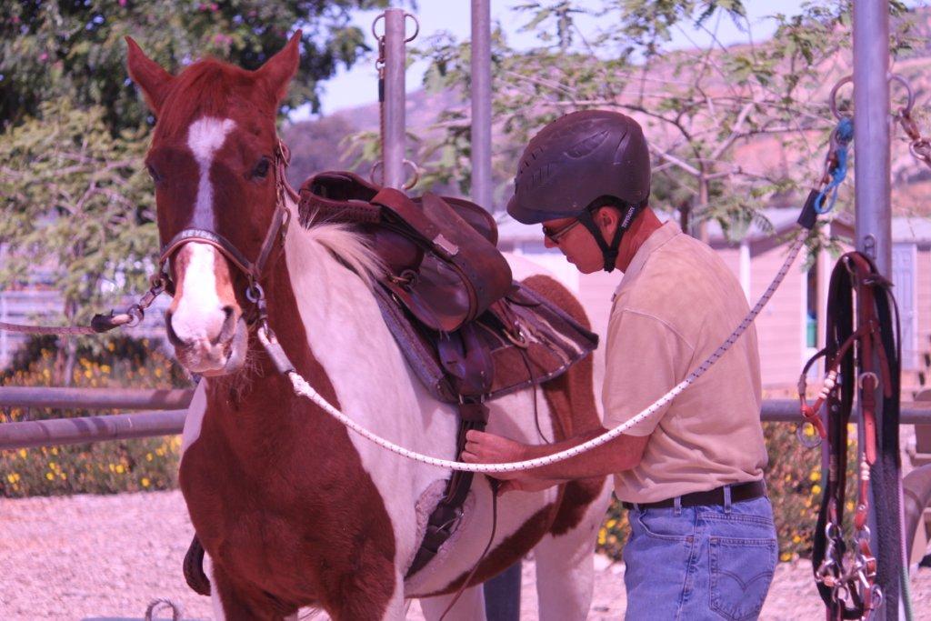 Tacking Up!