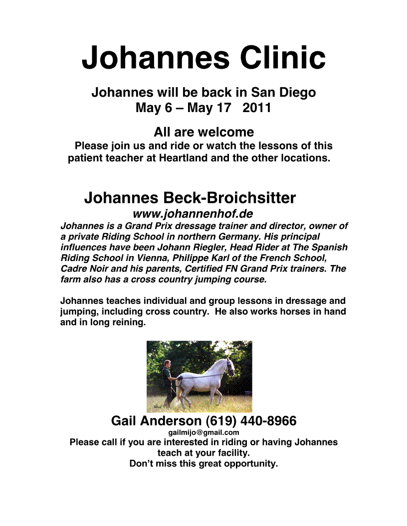 JohanneFlyer