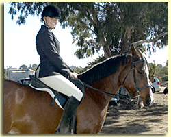 Schooling Shows!